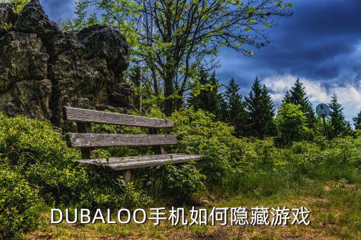 DUBALOO手机如何隐藏游戏