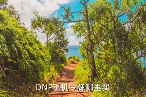 dnf手游韩服怎么买战令，DNF手机令牌哪里买