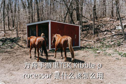 方舟手游霰弹枪成品怎么获得，方舟手游里TEK Kibble processor 是什么该怎么用