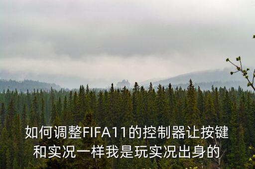 如何调整FIFA11的控制器让按键和实况一样我是玩实况出身的