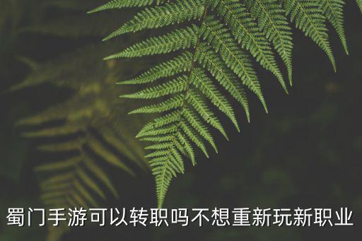 蜀门手游可以转职吗不想重新玩新职业