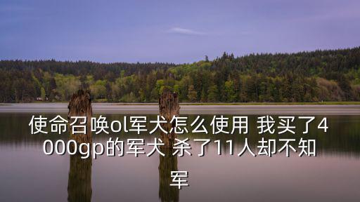 使命召唤军犬手游怎么获得，请问下使命召唤OL 绝境求生模式中如何使用军犬