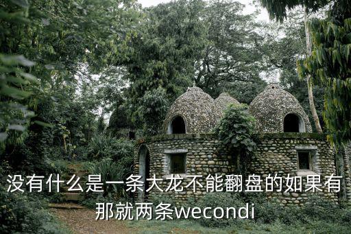 没有什么是一条大龙不能翻盘的如果有那就两条wecondi