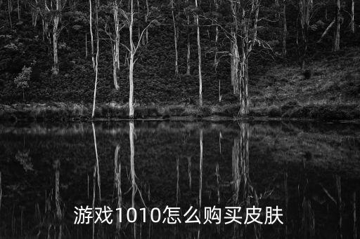 游戏1010怎么购买皮肤