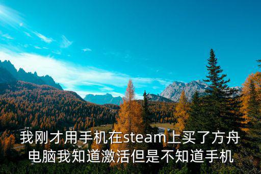 我刚才用手机在steam上买了方舟电脑我知道激活但是不知道手机