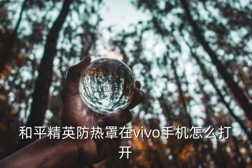 和平精英防热罩在vivo手机怎么打开