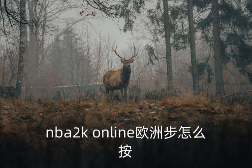 nba2k online欧洲步怎么按