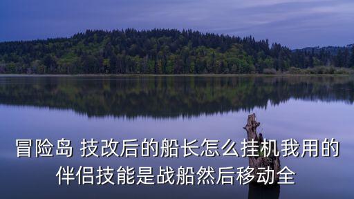 冒险岛 技改后的船长怎么挂机我用的伴侣技能是战船然后移动全
