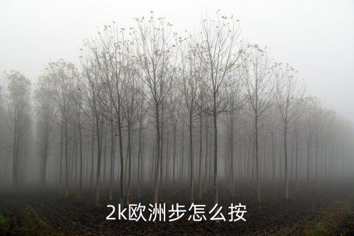 2k欧洲步怎么按