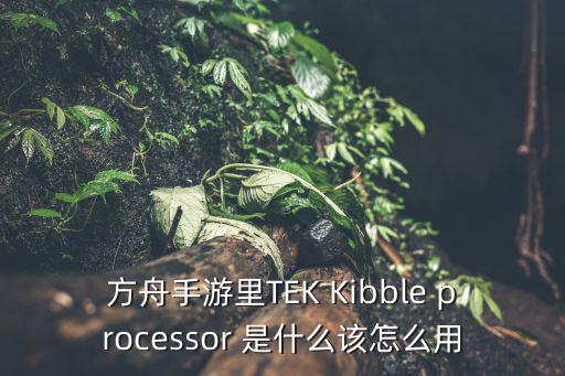 方舟手游里TEK Kibble processor 是什么该怎么用