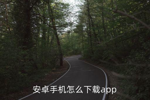 安卓手机怎么下载app