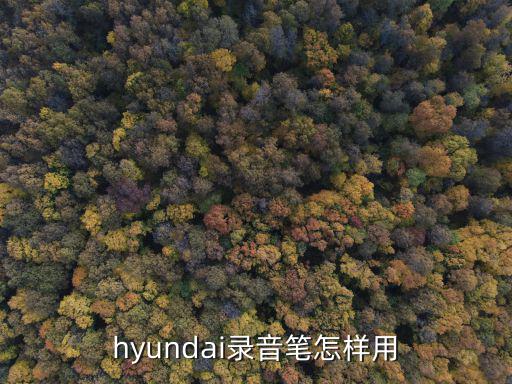 hyundai录音笔怎样用