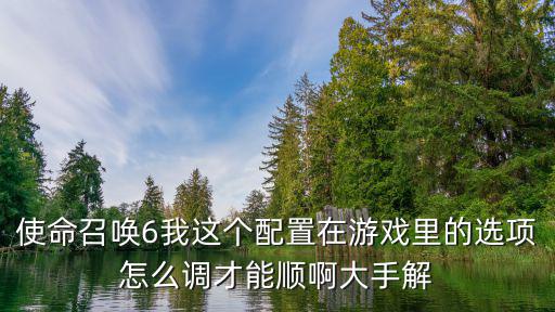 使命召唤6我这个配置在游戏里的选项怎么调才能顺啊大手解