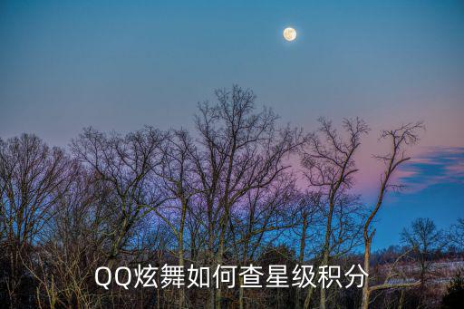 怎么查询qq炫舞手游积分，QQ炫舞如何查星级积分