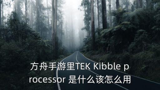 方舟手游里TEK Kibble processor 是什么该怎么用