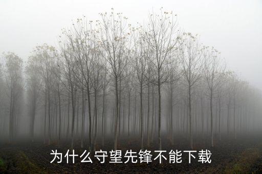 为什么守望先锋不能下载