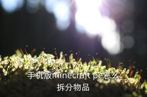 手机版minecraft pe怎么拆分物品