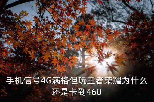 手机信号4G满格但玩王者荣耀为什么还是卡到460