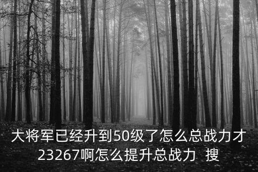 大将军已经升到50级了怎么总战力才23267啊怎么提升总战力  搜