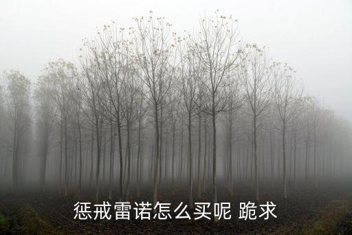 惩戒雷诺怎么买呢 跪求