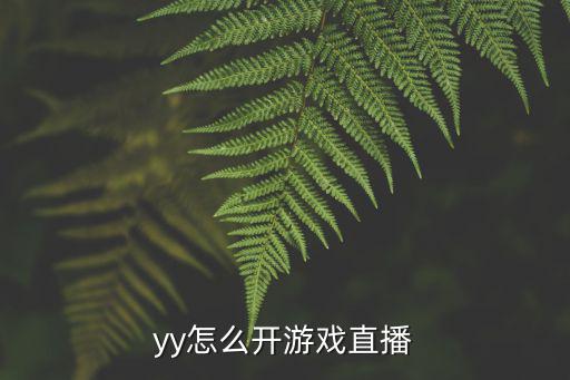 yy怎么开游戏直播