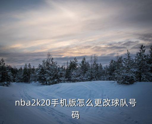 nba2k20手机版怎么更改球队号码