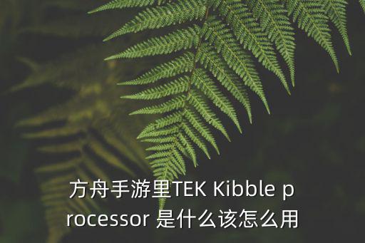 方舟手游里TEK Kibble processor 是什么该怎么用