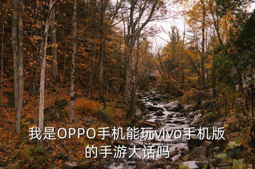 我是OPPO手机能玩vivo手机版的手游大话吗