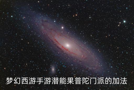 梦幻西游手游潜能果普陀门派的加法