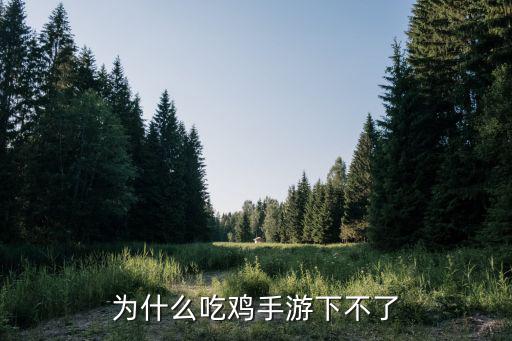 为什么吃鸡手游下不了