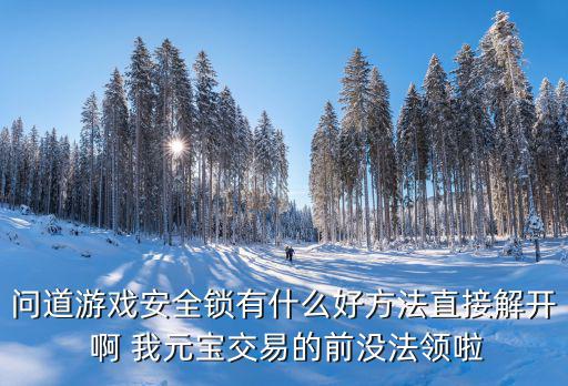 问道游戏安全锁有什么好方法直接解开 啊 我元宝交易的前没法领啦