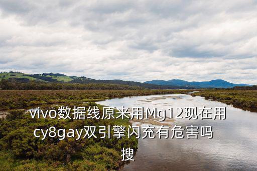 vivo数据线原来用Mg12现在用cy8gay双引擎闪充有危害吗  搜