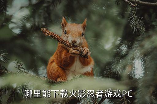 哪里能下载火影忍者游戏PC