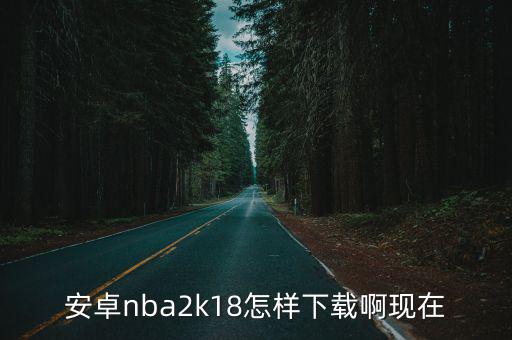 安卓nba2k18怎样下载啊现在