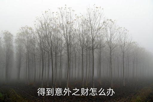 手游意外之财海克斯怎么给钱的，得到意外之财怎么办