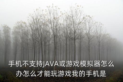 手机不支持JAVA或游戏模拟器怎么办怎么才能玩游戏我的手机是