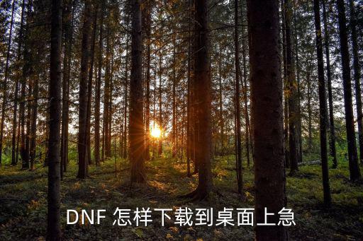 DNF 怎样下载到桌面上急