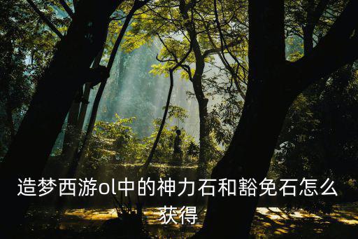 造梦西游ol中的神力石和豁免石怎么获得