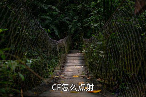 CF怎么点射