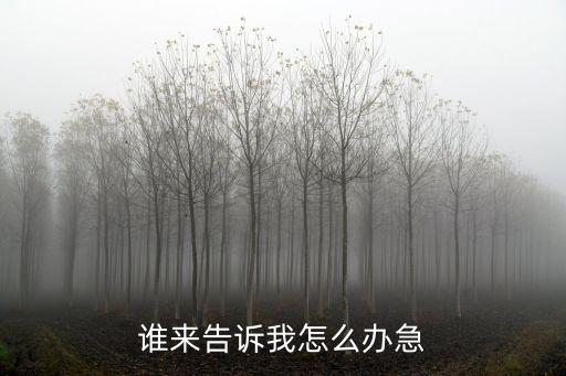 谁来告诉我怎么办急