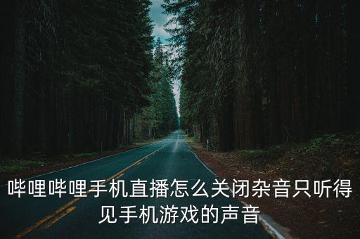 哔哩哔哩手机直播怎么关闭杂音只听得见手机游戏的声音