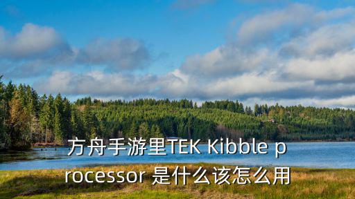 方舟手游里TEK Kibble processor 是什么该怎么用