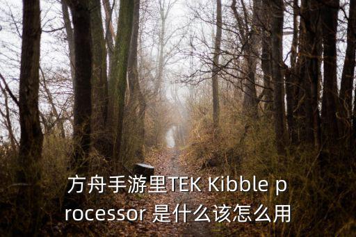 方舟手游里TEK Kibble processor 是什么该怎么用