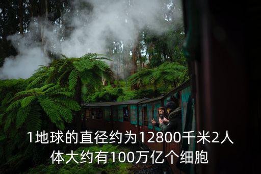 1地球的直径约为12800千米2人体大约有100万亿个细胞