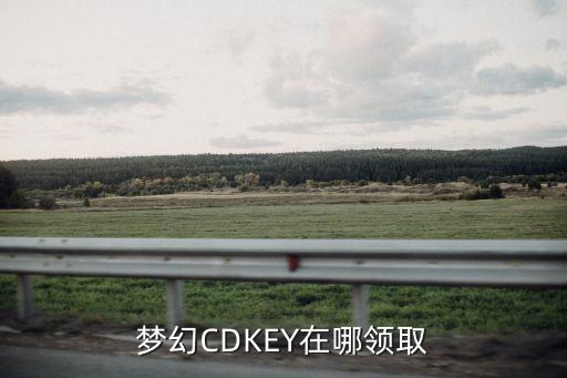 梦幻CDKEY在哪领取