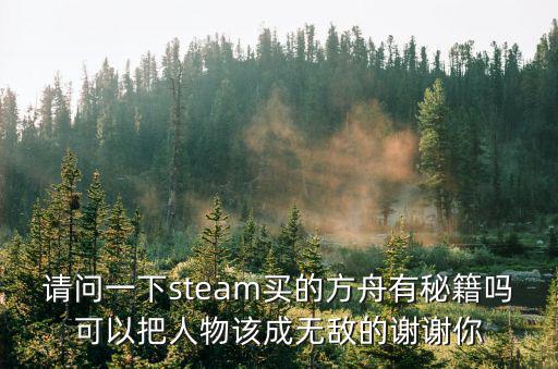 请问一下steam买的方舟有秘籍吗可以把人物该成无敌的谢谢你