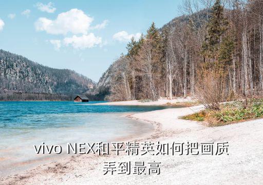 vivo NEX和平精英如何把画质弄到最高