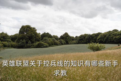 英雄联盟关于控兵线的知识有哪些新手求教