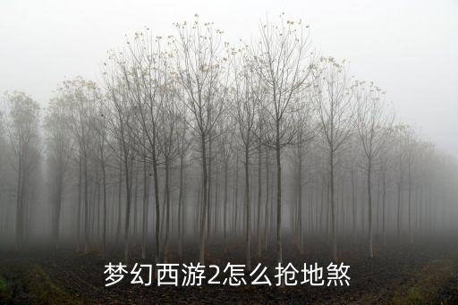 梦幻西游2怎么抢地煞