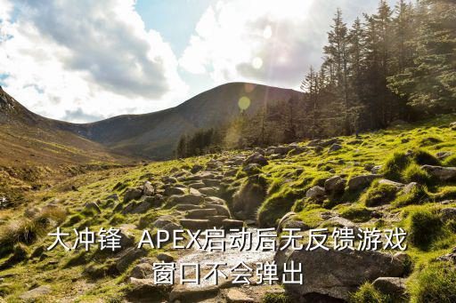 大冲锋  APEX启动后无反馈游戏窗口不会弹出